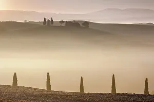 Poplar Trees Prints: Italy, Tuscany, Crete landscape, Vitaleta chapel, near Pienza town