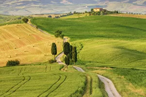 Images Dated 6th September 2022: Italy, Tuscany, Crete landscape, near Terrapille estate, near Pienza town, cypresses