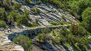 Elba Prints: Italy, Tuscany, Elba. Footpath on the slopes of the Monte Capanne