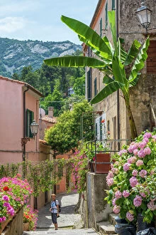 Facades Collection: Italy, Tuscany, Elba. A street scene in the picturesque village of Poggio