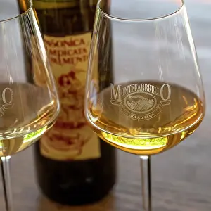 Wine Prints: Italy, Tuscany, Elba. Wine tasting in a local winery Montefabbrello