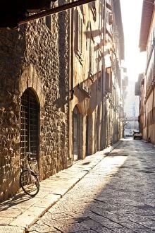 Empty Gallery: Italy, Tuscany, Firenze district. Florence, Firenze