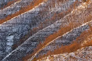 Emilia Romagna Prints: Italy, Tuscany, Parco Nazionale delle Foreste Casentinesi-Monte Falterona-Campigna