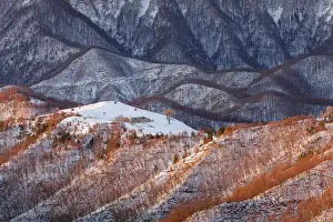 Italy, Tuscany, Parco Nazionale delle Foreste Casentinesi-Monte Falterona-Campigna
