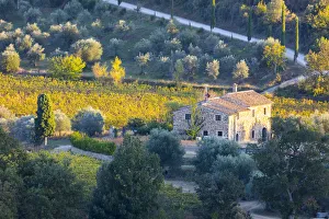 Italy, Tuscany, Province of Siena, Montalcino, Stone farmhouse surrounded by vines