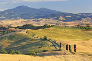 Italy, Tuscany, San Quirico D Orcia, Terrapille Farmhouse (featured in