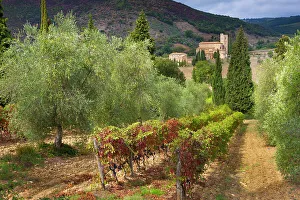 Italy, Tuscany, Sant Antimo monastery