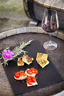 Lucca Prints: Italy, Tuscany, Serchio Valley, Wine tasting at the Podere Concori winery