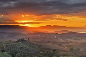 Italy, Tuscany, Siena district, Orcia Valley, Podere Belvedere near San Quirico d Orcia