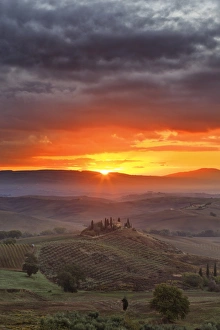 Italy, Tuscany, Siena district, Orcia Valley, Podere Belvedere near San Quirico d Orcia