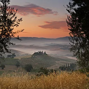 Italy, Tuscany, Siena district, Orcia Valley, Podere Belvedere near San Quirico