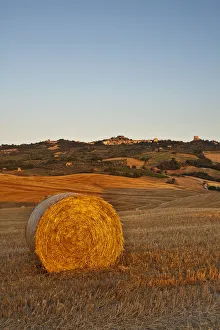 Italy, Tuscany, Siena district, Orcia Valley, Castiglione d Orcia