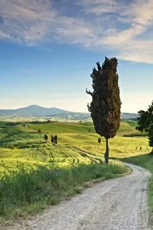 Images Dated 14th May 2013: Italy, Tuscany, Siena district, Orcia Valley, country road near Pienza