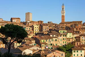 Images Dated 6th September 2022: Italy, Tuscany, Siena town, Torre del Mangia tower