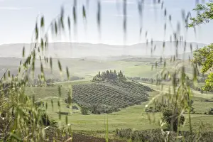 Valdorcia Prints: Italy, Tuscany, Val d Orcia: Podere Belvedere at morning from a non classical spot