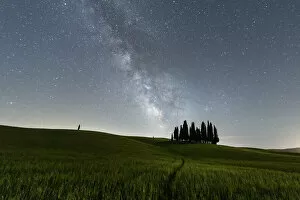 Night Sky Collection: Italy, Tuscany, Val d Orcia: San Quiricos cypresses