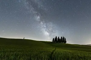 Produce Prints: Italy, Tuscany, Val d Orcia: San Quiricos cypresses