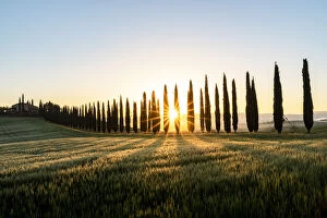 Italy, Tuscany, Val d orcia: the Sun rises over the Poggio Covili farm