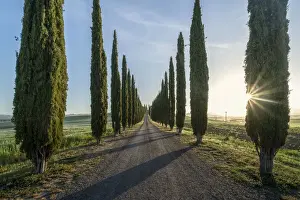 Valdorcia Prints: Italy, Tuscany, Val d Orcia: sunburnst at morning at Poggio Covili
