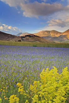 Italy, Umbria, Perugia district, Monti Sibillini NP, Norcia, Castelluccio