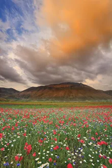 Italy, Umbria, Perugia district, Monti Sibillini NP, Norcia, Castelluccio