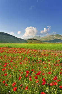 Italy, Umbria, Perugia district, Monti Sibillini NP, Norcia, Castelluccio