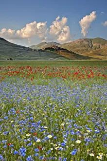 Italy, Umbria, Perugia district, Monti Sibillini NP, Norcia, Castelluccio
