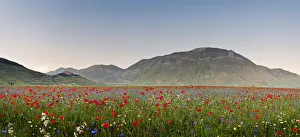 Italy, Umbria, Perugia district, Monti Sibillini NP, Norcia, Castelluccio