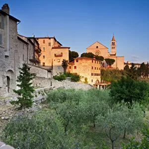 Images Dated 24th November 2011: Italy, Umbria, Perugia district, Assisi, Basilica of Santa Chiara