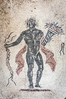 Floor Prints: Italy, Umbria, Perugia, Spello