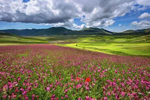 Images Dated 26th September 2022: Italy, Umbria, Sibillini Mountains National Park, near Castelluccio village