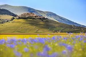 Italy, Umbria, Village of Castelluccio seen above fields of cornflowers