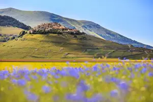 Plants Prints: Italy, Umbria, Village of Castelluccio seen above fields of cornflowers