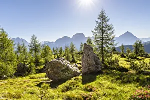 Italy, Veneto, Belluno district, Cortina d Ampezzo, view of meadows