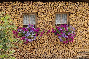Explore Prints: Italy, Veneto, Dolomites, Pieces of woods