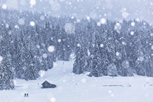 Images Dated 2014 January: 4 Jan 2014