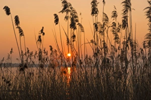 Images Dated 12th December 2017: italy, Veneto, Garda Lake, sunset at lake