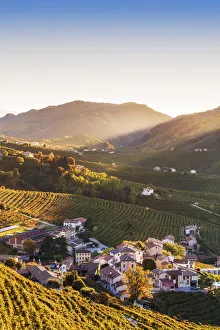 Italy, Veneto. Prosecco Road. Treviso district. Follo, vineyards of Prosecco