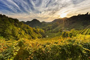 Italy, Veneto. Prosecco Road. Treviso district. Farra di Soligo. Collag√π