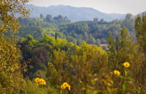Italy, Veneto, Treviso district, Rolle locality
