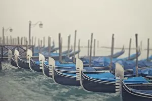 Images Dated 29th January 2013: Italy, Veneto, Venezia district, Venice. Gondolas