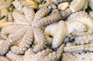 Images Dated 20th June 2011: Italy, Veneto, Venice, Rialto Fish Market
