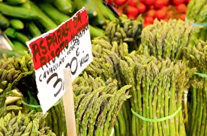 Rialto Prints: Italy, Veneto, Venice, Rialto Fruit and Vegetable Market