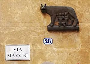 Verona Prints: Italy, Veneto, Verona, Western Europe; The symbol of Rome