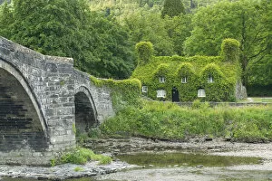 Ivy-covered Cottage Tearoom & Bridge, Llanwrst, Conwy, Wales