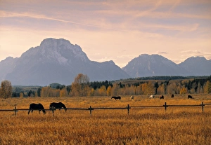 Jackson Prints: Jackson, Teton Range