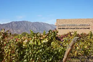 Wine Route Prints: The James Turrel Museum'and the vineyards of the Bodega Coloma©winery
