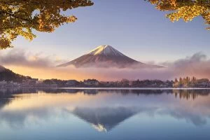 Foliage Collection: Japan, Fuji - Hakone - Izu National Park, Mt Fuji and Kawaguchi Ko Lake