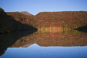 Tohoku Prints: Japan, Hokkaido Island, Tohoku, Aomori, Towada Lake, Tsutanuma Pond