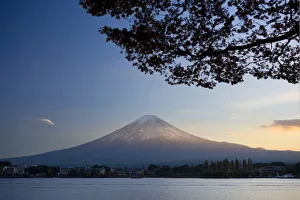 Japan, Honshu Island, Kawaguchi Ko Lake, Mt. Fuji and Maple Trees